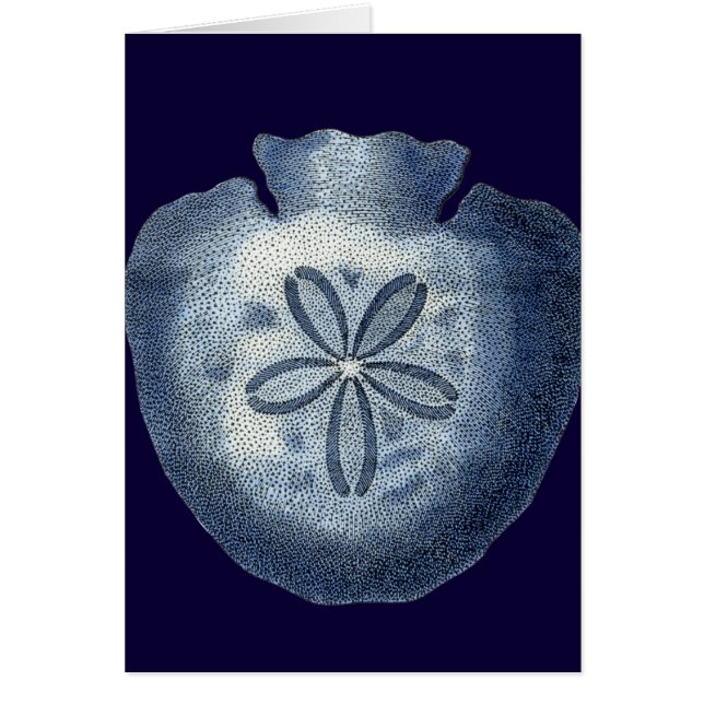 Indigo Snäckor III Hälsningskort (Framsidan)