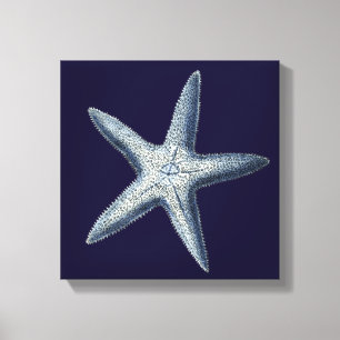 Indigo Snäckor IV Canvastryck