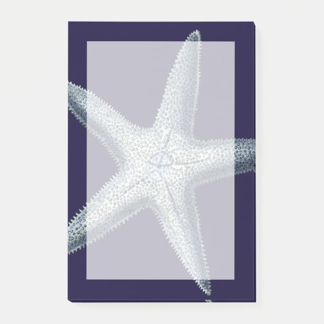 Indigo Snäckor IV Post-it Block (Framsida)