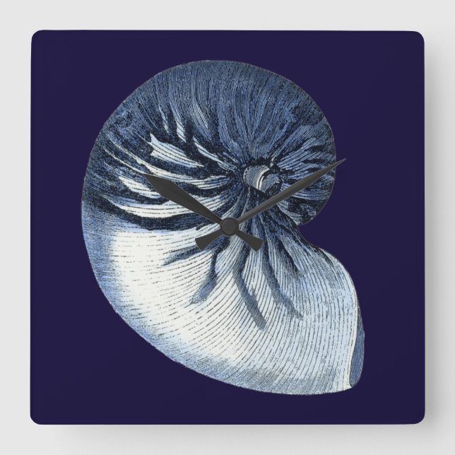 Indigo Snäckor VII Fyrkantig Klocka (Framsida)