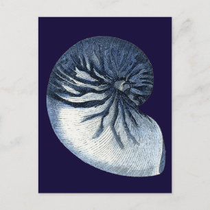 Indigo Snäckor VII Vykort