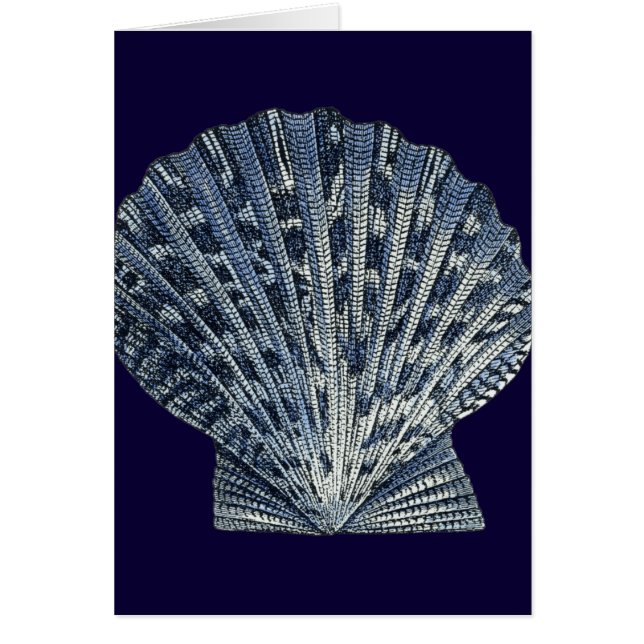 Indigo Snäckor VIII Hälsningskort (Framsidan)