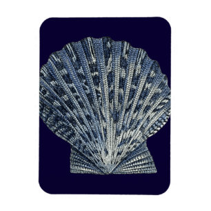 Indigo Snäckor VIII Magnet