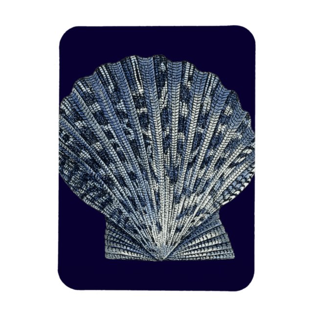 Indigo Snäckor VIII Magnet (Vertikal)