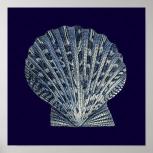 Indigo Snäckor VIII Poster