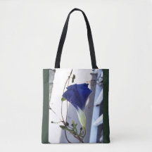 Indigo Virvel Morning Glory