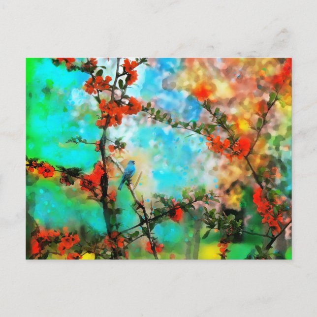 Indigo,vykort Vykort (Framsida)