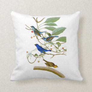 Indigoblå Bunting John James Audubon fåglar av Kudde