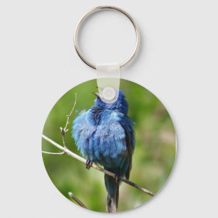 Indigoblå Bunting Keychain Nyckelring