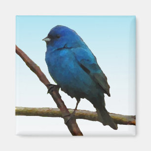 Indigoblå Bunting Magnet