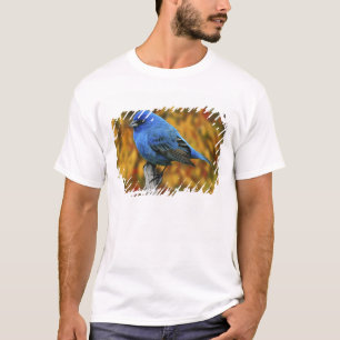 Indigofink, Passerina cyanea hane T-shirt