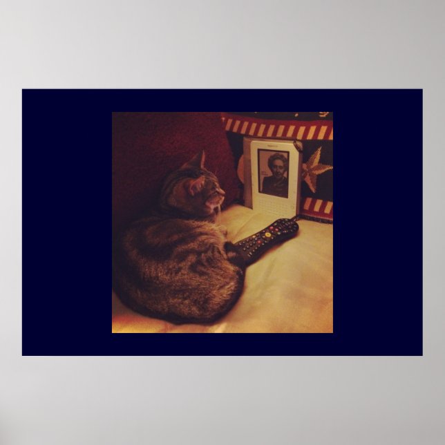 Indigo's Kindle Poster (Framsidan)