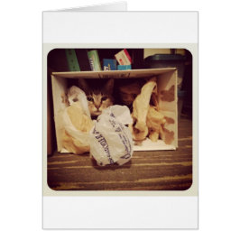 Indigo's Secret Hideout Hälsningskort