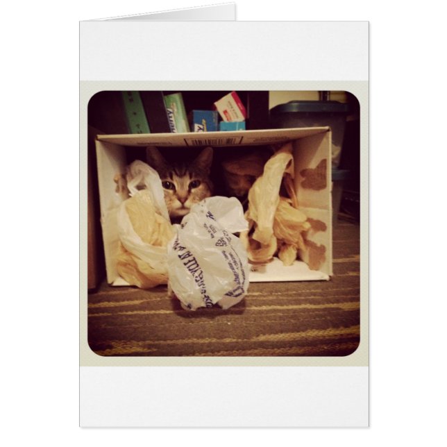 Indigo's Secret Hideout Hälsningskort (Framsidan)