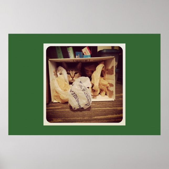 Indigo's Secret Hideout Poster (Framsidan)