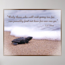 Indikationsoffert Baby Sea Turtle Sand Ocean