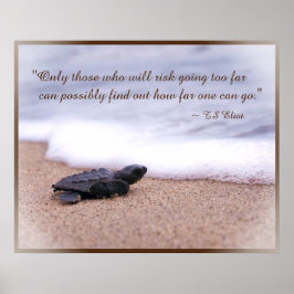 Indikationsoffert Baby Sea Turtle Sand Ocean Poster
