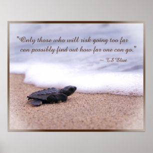 Indikationsoffert Baby Sea Turtle Sand Ocean Poster