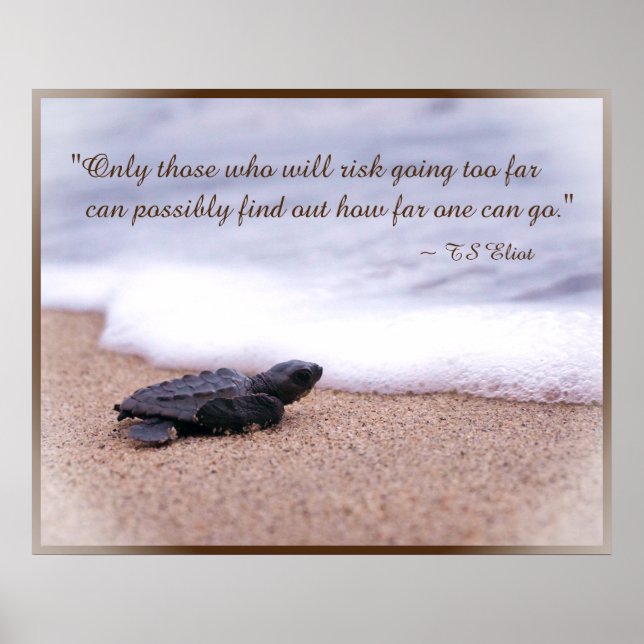 Indikationsoffert Baby Sea Turtle Sand Ocean Poster (Framsidan)