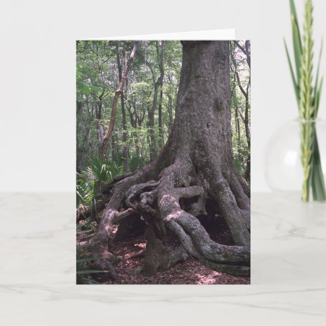 Indisk artefakt Anpassningsbar Louisiana Greeting  Kort (Framsida)