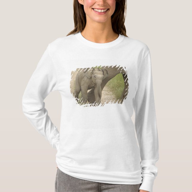 Indisk / Asiatisk elefant och unge,Corbett 2 T Shirt (Framsida)