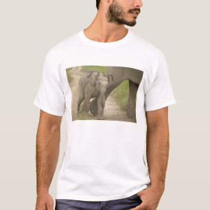 Indisk / Asiatisk elefant och unge, Corbett 2 Tee Shirt