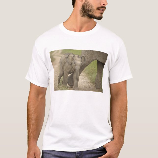 Indisk / Asiatisk elefant och unge, Corbett 2 Tee Shirt (Framsida)