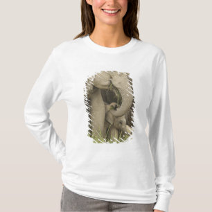Indisk / Asiatisk elefant och unge, Corbett 3 Tröja