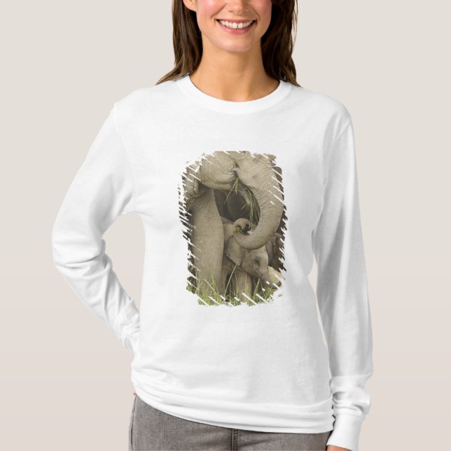 Indisk / Asiatisk elefant och unge, Corbett 3 Tröja (Framsida)