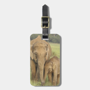 Indisk / Asiatisk elefant och unge, Corbett Bagagebricka