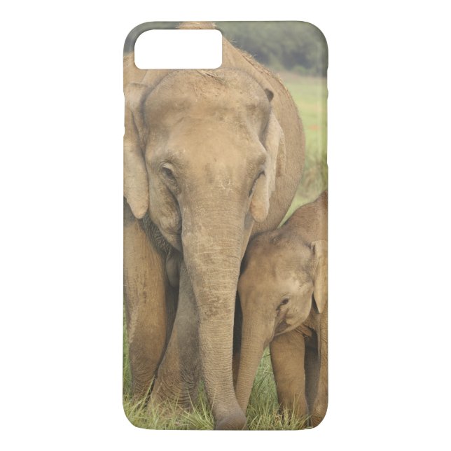 Indisk / Asiatisk Elefant och unge,Corbett Case-Mate iPhone Skal (Baksida)