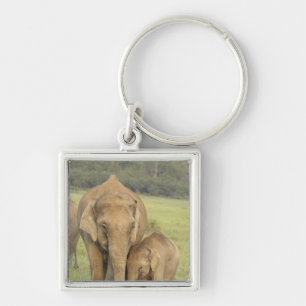 Indisk / Asiatisk elefant och unge,Corbett Fyrkantig Silverfärgad Nyckelring