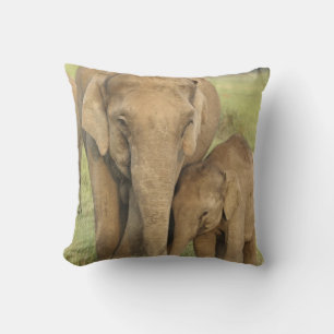 Indisk / Asiatisk Elefant och unge,Corbett Kudde