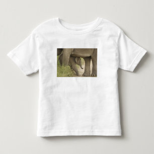 Indisk / Asiatisk Elefant och unge,Corbett T-shirt
