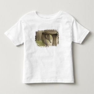 Indisk / Asiatisk Elefant och unge,Corbett T Shirt