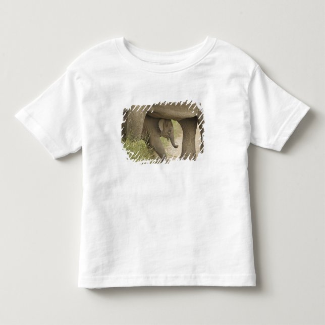 Indisk / Asiatisk Elefant och unge,Corbett T Shirt (Framsida)