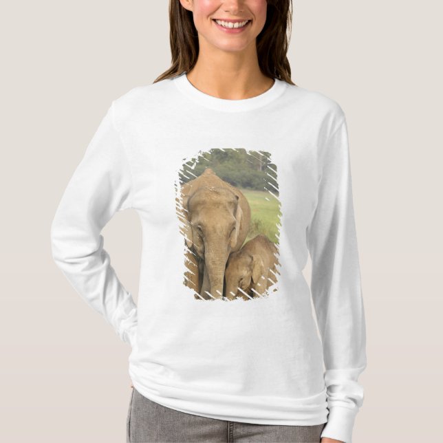 Indisk / Asiatisk Elefant och unge,Corbett Tee (Framsida)