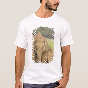Indisk / Asiatisk elefant och unge,Corbett Tee Shirt