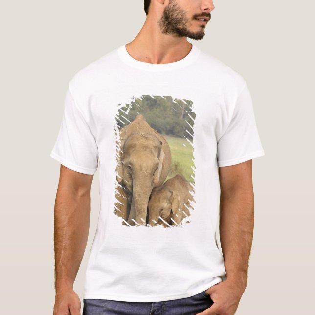 Indisk / Asiatisk elefant och unge,Corbett Tee Shirt (Framsida)