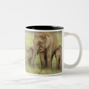 Indisk asiatisk elefant & ungar Två-Tonad mugg