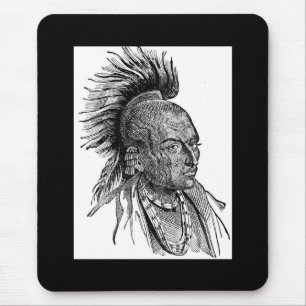 Indisk chefsmus Pad Musmatta