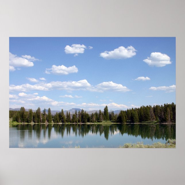 Indisk damm poster (Framsidan)