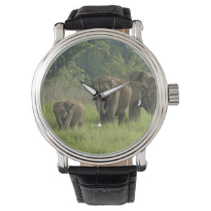 Indisk elefantfamilj armbandsur