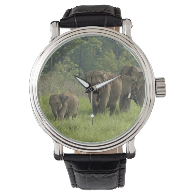 Indisk elefantfamilj armbandsur (Framsida)