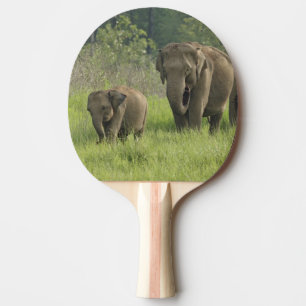 Indisk elefantfamilj pingisracket