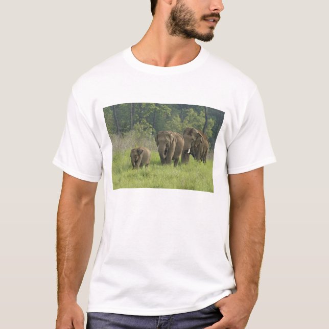 Indisk elefantfamilj tee (Framsida)