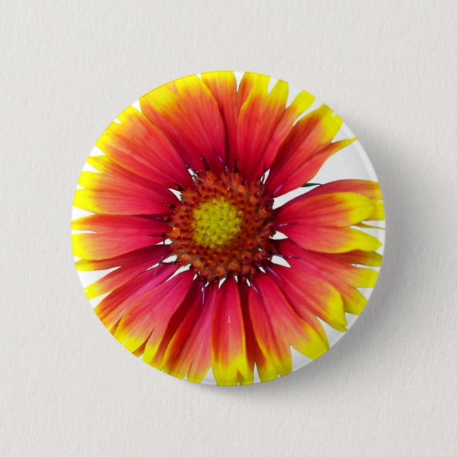 Indisk filtblomma knapp (Framsida)