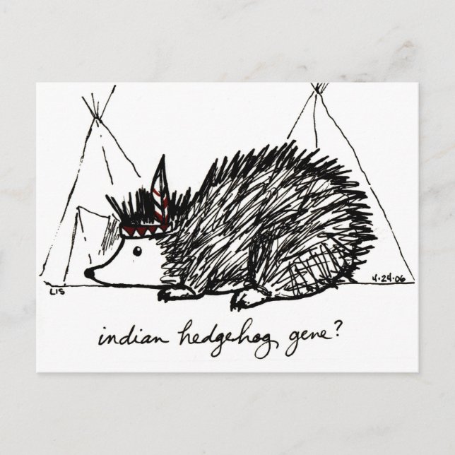 Indisk Hedgehog Gene-vykort Vykort (Framsida)
