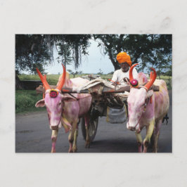 indisk man-vykort vykort