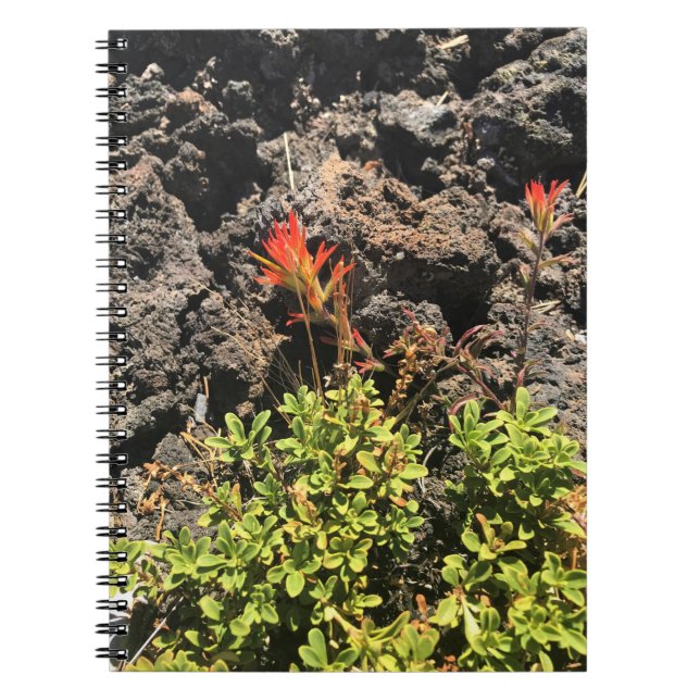 indisk penselpensel anteckningsbok (Framsidan)